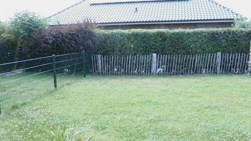 Foto - andere in Gelting zur Miete