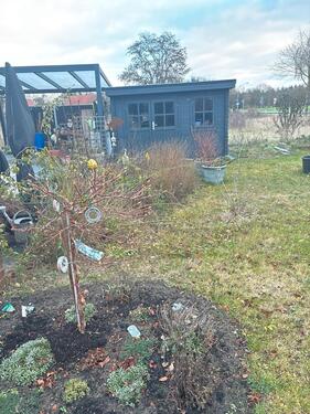 Foto - Einfamilienhaus in Wienhausen zur Miete