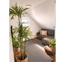 Helle Maisonette-Wohnung mit 2 Balkonen – ideal für Einzelperson - Trossingen