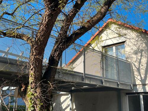 Foto - 1 Zimmer Dachgeschoßwohnung zur Miete in Darmstadt