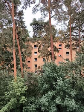 Foto - Etagenwohnung zur Miete in Potsdam