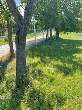 Foto - Grundst&uuml;ck in Oelde