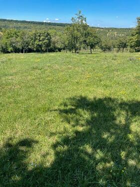 Foto - Grundst&uuml;ck in Oelde zur Miete