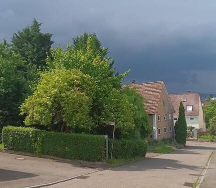 Foto - Ein-Zimmer-Wohnung in Erbach (Stadt)