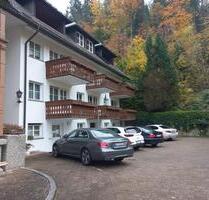 Vermiete 1 Zi.Wohnung 49,09m² mit Balkon - St. Blasien