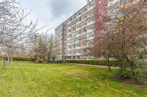 Foto - 2 Zimmer Etagenwohnung zur Miete in Erfurt