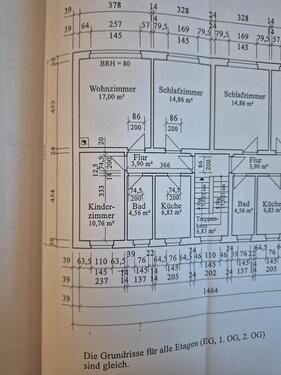 Foto - 3 Zimmer Erdgeschoßwohnung in Bennewitz