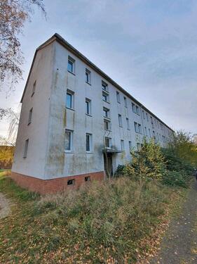 Foto - sehr großes Mehrfamilienhaus mit riesen Grundstück und Garagen