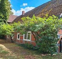 Haus mit kleinem Garten in Dangenstorf - Lübbow