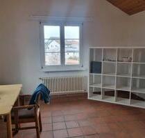 WG-Zimmer in großzügiger Wohnung mit eigenem Bad, Gartenmitben - Klettgau