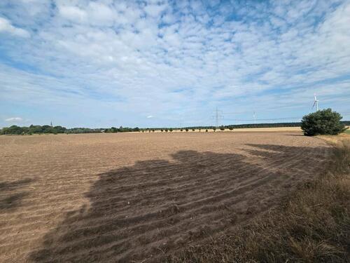 Foto - Grundst&uuml;ck in Schönwald