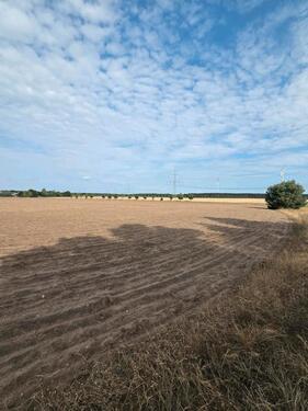 Foto - Grundst&uuml;ck in Schönwald zur Miete