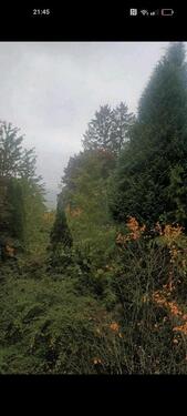 Foto - Einfamilienhaus in Seefeld
