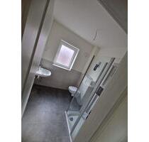 Wohnung 50qm zu vermieten Erstbezug - Albersdorf