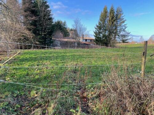 Foto - Pferdekoppel mit Offenstall - 320,00&nbsp;EUR Kaltmiete, ca.&nbsp; 0,00&nbsp;m&sup2;