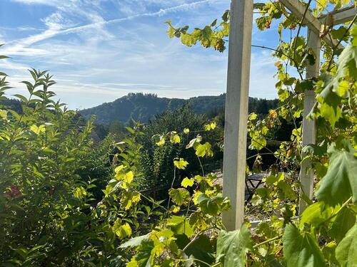 Foto - 2 Zimmer Etagenwohnung zur Miete in Osann-Monzel