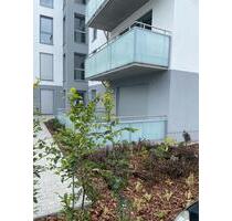 2 Raumwohnung mit Terrasse an der Marina - Frankfurt (Oder)