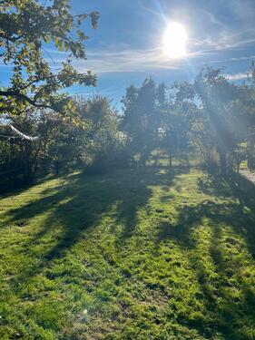 Foto - Grundst&uuml;ck zur Miete in Rostock