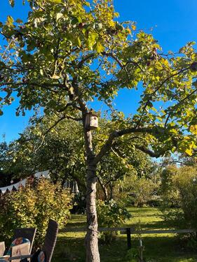 Foto - Grundst&uuml;ck in Rostock