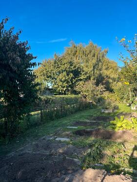 Foto - Grundst&uuml;ck in Rostock zur Miete