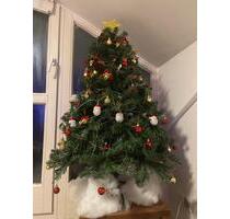 Kurzzeitvermietung eines Zimmers, bevorzugt weiblich] - Gröbenzell