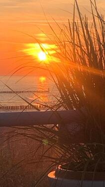 Foto - ❤️❤️FerienwohnungFerienhaus auf Usedom,in Zempin an der Ostsee❤️