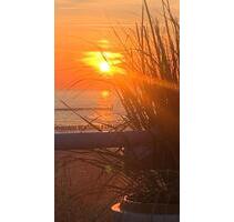 ❤️❤️FerienwohnungFerienhaus auf Usedom,in Zempin an der Ostsee❤️ - Koserow