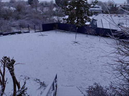 Foto - 5 Zimmer Einfamilienhaus in Burg Stargard