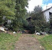 Haus mit großem Naturgrundstück in absoluter Randlage - Wadern