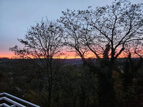 Foto - 2.5 Zimmer Etagenwohnung zum Kaufen in Essen