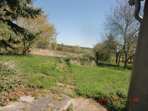 Foto - 