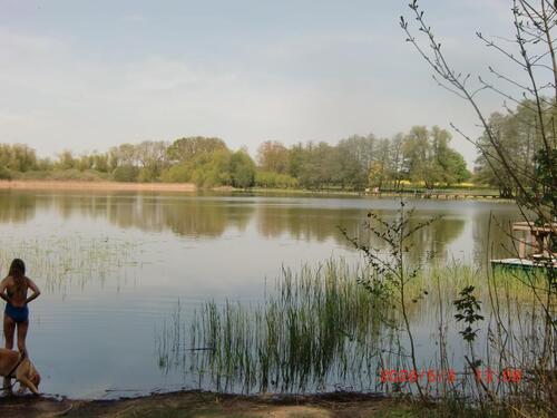 Foto - 