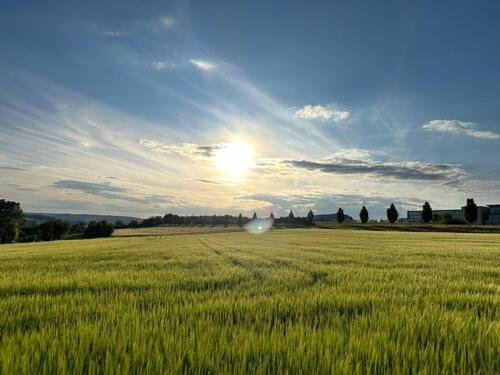 Foto - 1 Zimmer Erdgeschoßwohnung in Ulm