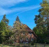 Zweifamilienhaus auf Naturgrundstück mit Elbblick nahe Hamburg - Neu Darchau