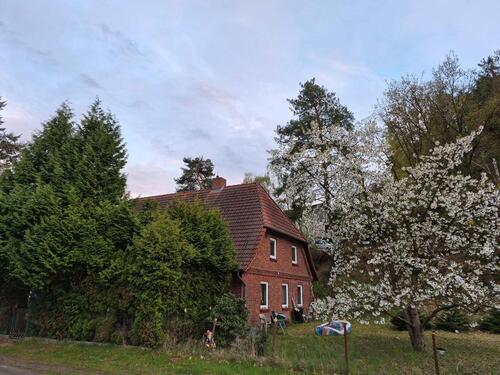 Foto - 8 Zimmer Mehrfamilienhaus, Wohnhaus zum Kaufen in Neu Darchau