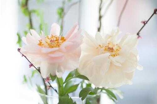 Foto - andere in Berlin zur Miete