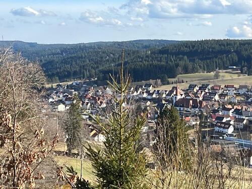 Foto - Erstbezug ab Juli nach Modernisierung mit EBK, Balkon &Stellplatz