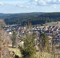 Erstbezug ab Juli nach Modernisierung mit EBK, Balkon &Stellplatz - Schonach Im Schwarzwald