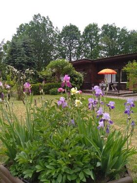 Foto - Ferienhaus Bad Saarow - 60,00 EUR Kaltmiete,