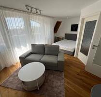 Möbliertes 1-Zimmer-Apartment mit Aufzug, Balkon & EBK! - Leipzig Süd