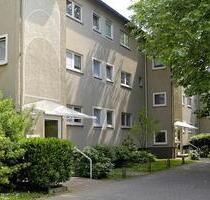 Charmante 3-Zimmer-Wohnung in Duisburg – Abwechslungsreiches Wohnen auf 62,59 m²