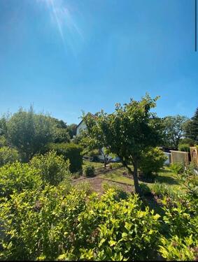 Foto - Gemütlicher Garten abzugeben (Stadtfeld- Rennetal)