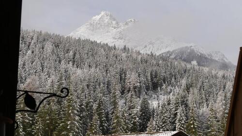 Foto - 