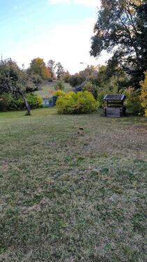 Foto - Einfamilienhaus in Homberg (Efze) zum Kaufen