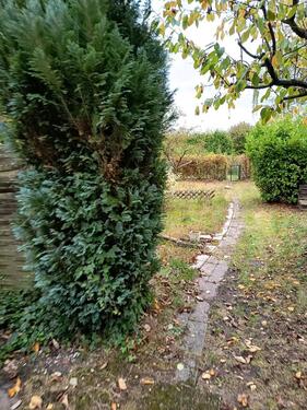 Foto - Grundst&uuml;ck in Winsen (Luhe) zur Miete