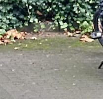 Stellplatz nahe Hotel Hafen Hamburg