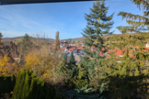 Foto - 7 Zimmer Einfamilienhaus in Bad Gandersheim