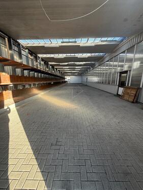 Foto - Halle Lagerhalle 380 m² – 4 m Tor – Verden