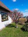 Foto - Einfamilienhaus - 200.000,00 EUR Kaufpreis,