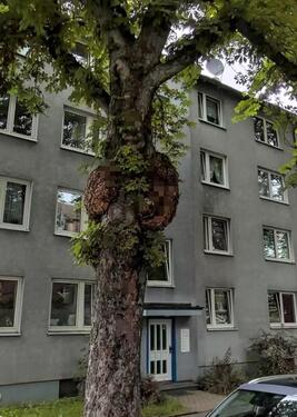 Foto - Kapitalanlage oder Eigennutzung – 3ZKB direkt an der Uni Kassel